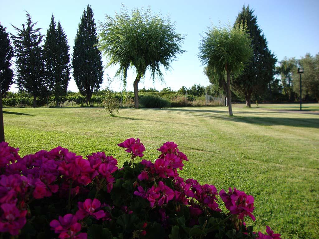Hotel San Camilo Navarrete Eksteriør bilde