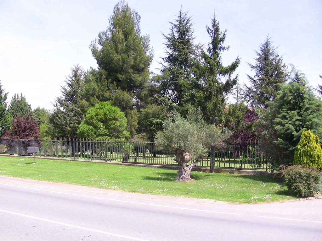 Hotel San Camilo Navarrete Eksteriør bilde